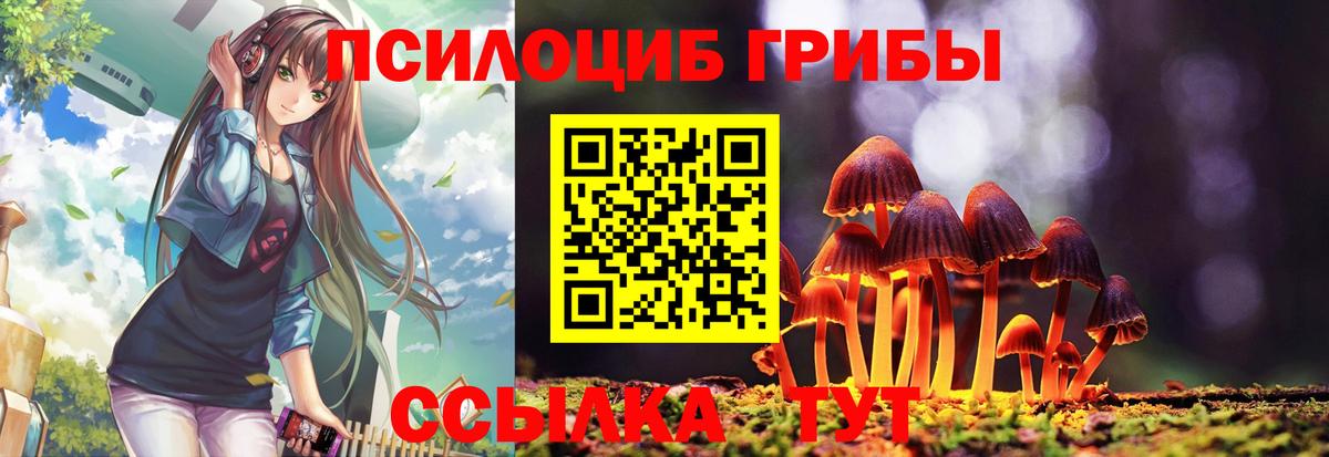 Михайловка  Галлюциногенные грибы MAGIC MUSHROOMS  Вход с VPN  Псилоцибиновые грибы MAGIC MUSHROOMS 