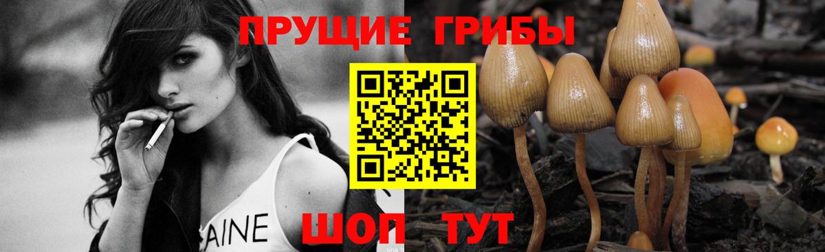 Галлюциногенные грибы Psilocybine cubensis Михайловка